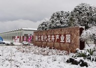 时政新闻眼丨习赴云南丽江考察关注这座名城的“古与今”?今日热点精编