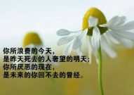 适合发朋友圈正能量短句,激励心灵,点亮生活